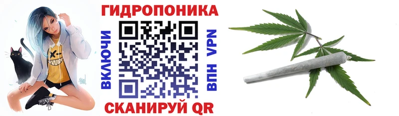 Где купить наркотики Яхрома СК  Меф мяу мяу  ЭКСТАЗИ  ГАШ  Канабис  COCAIN 