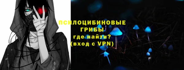 ешки Новозыбков