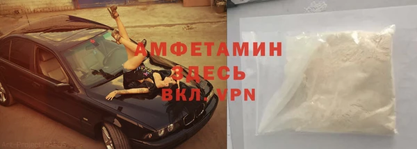 PSILOCYBIN Алзамай