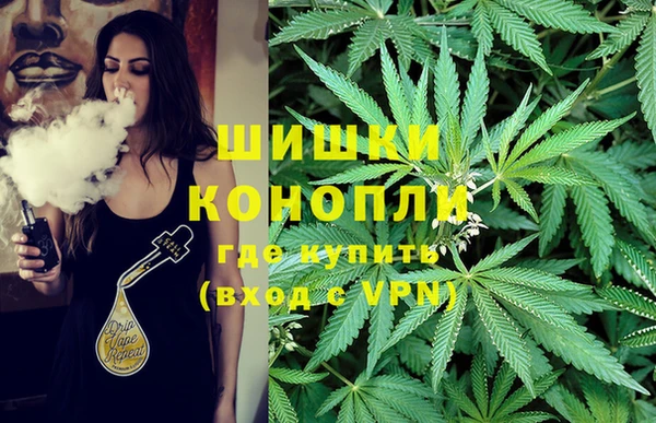Альфа ПВП Новокубанск