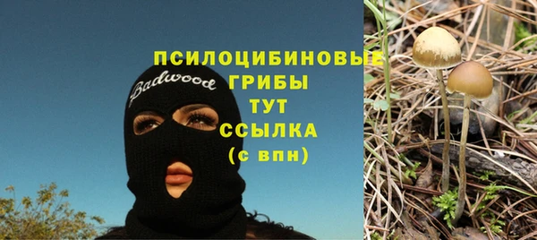 PSILOCYBIN Алзамай